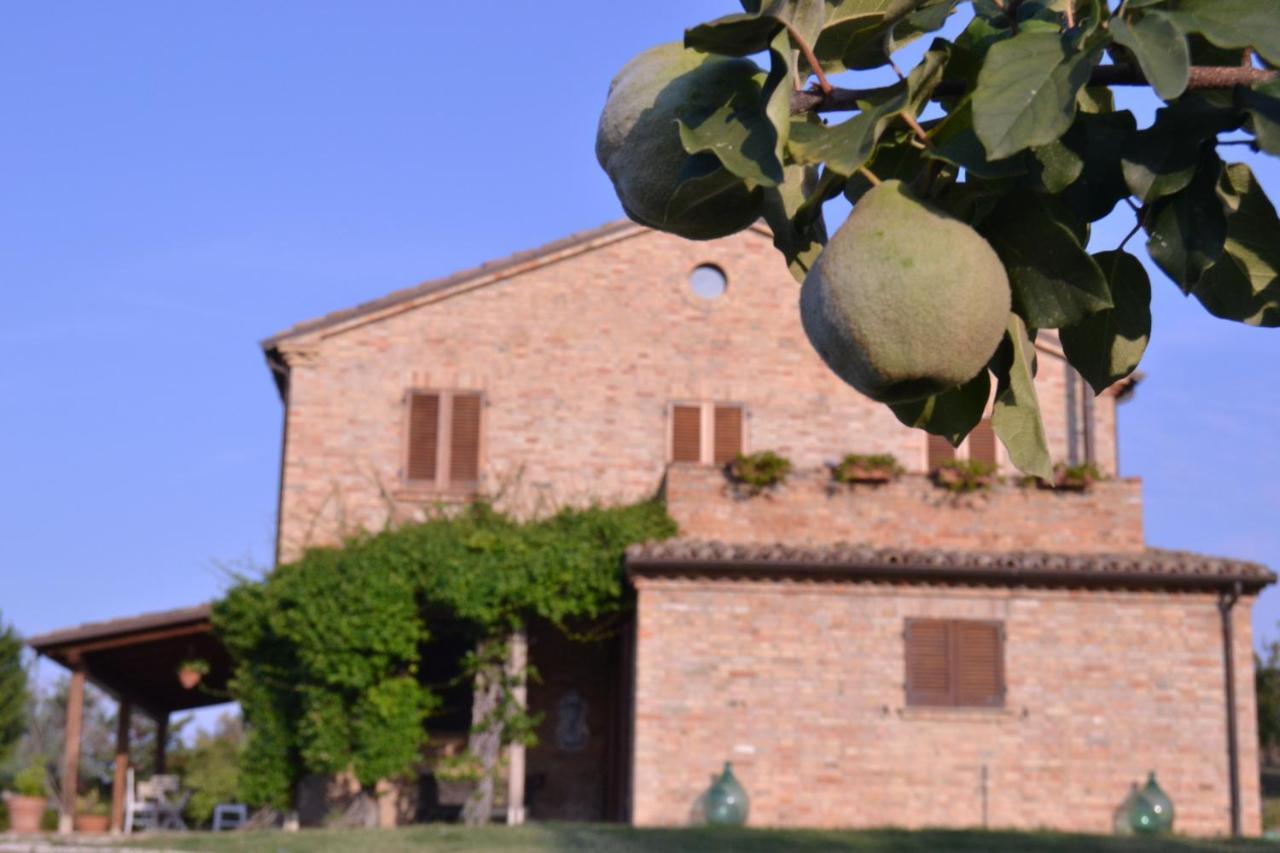 B&B Le Tamerici San Giorgio di Pesaro Esterno foto