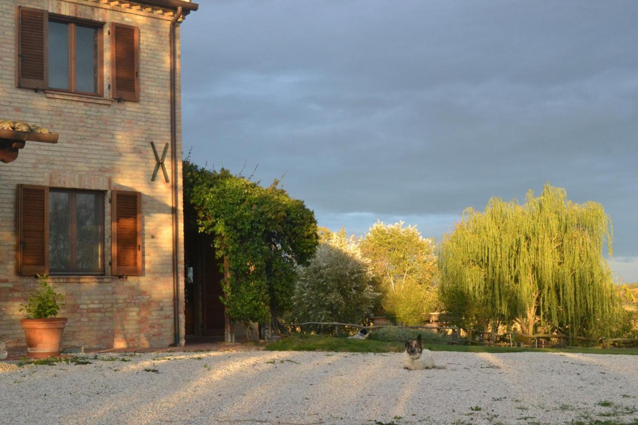 B&B Le Tamerici San Giorgio di Pesaro Esterno foto