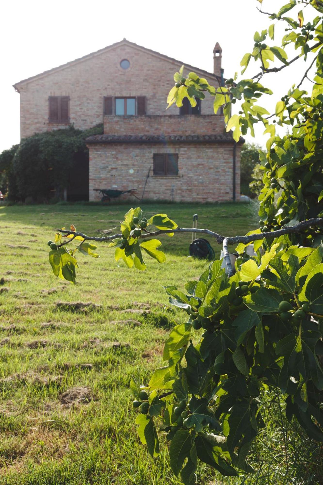 B&B Le Tamerici San Giorgio di Pesaro Esterno foto