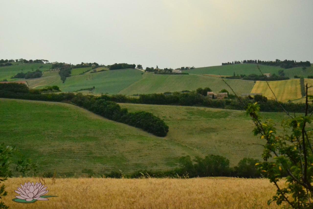 B&B Le Tamerici San Giorgio di Pesaro Esterno foto