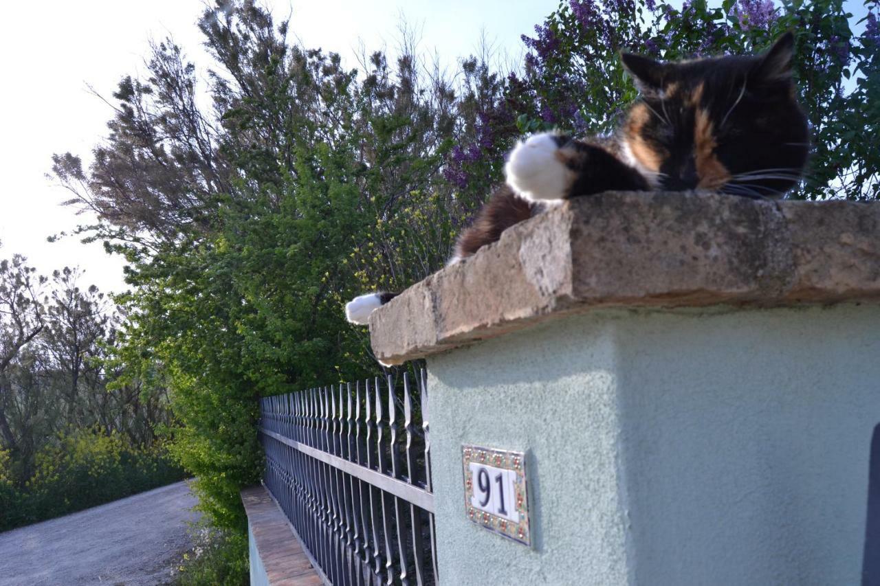 B&B Le Tamerici San Giorgio di Pesaro Esterno foto