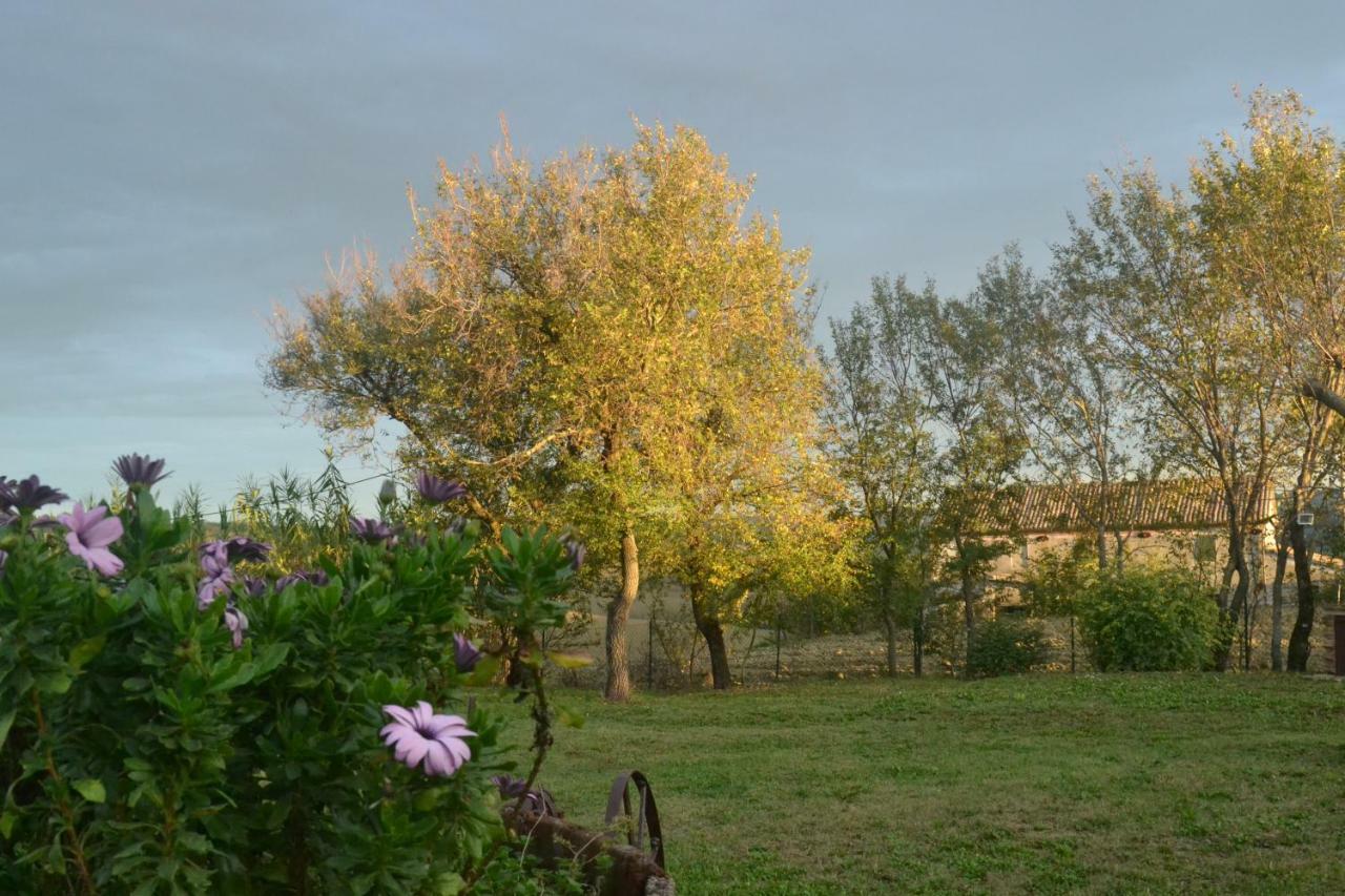 B&B Le Tamerici San Giorgio di Pesaro Esterno foto