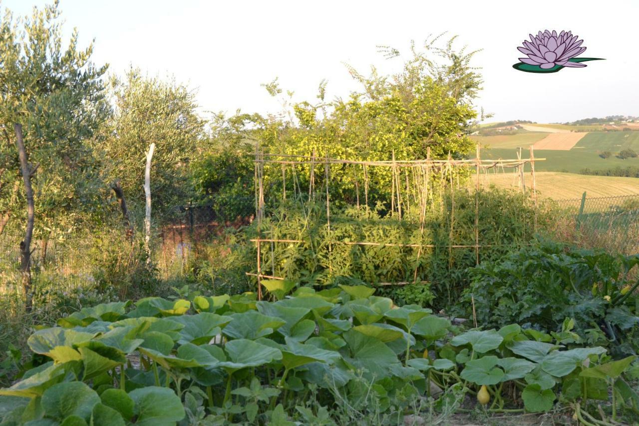 B&B Le Tamerici San Giorgio di Pesaro Esterno foto